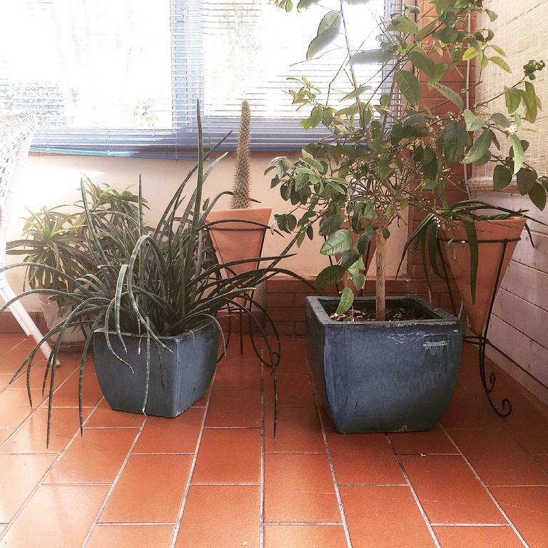 Villa Cetta B&B San Leone Eksteriør billede